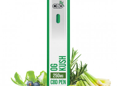 OG Kush CBD Terpenes Vape Pen – 250mg