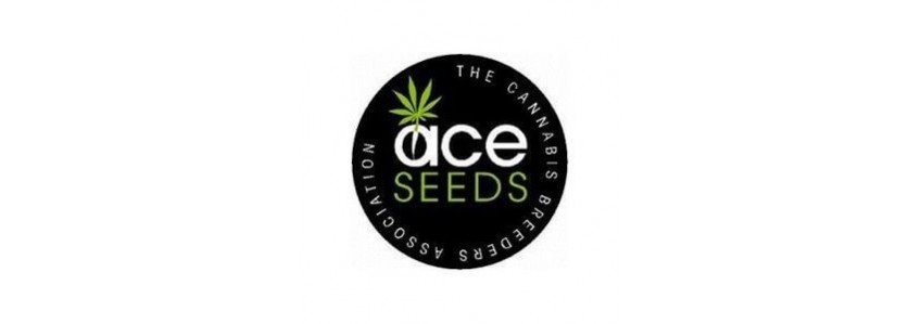 Ace Seeds
