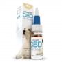 CBD Oil for Dogs 4% by Cibdol (10ml)