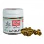 Cannaline CBD Gel Capsules – 1500mg (30pcs)